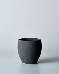 39Arita Dubbelwandige Kop, S grijs