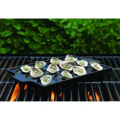 Charcoal Companion Flame-Friendly Zeevruchtenhouder CC3808, keramiek
