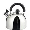 Ilsa Fluitketel, 2L RVS