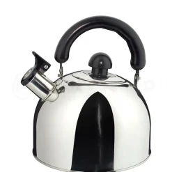 Ilsa Fluitketel, 2L RVS