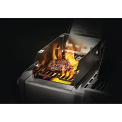 Napoleon Multifunctioneel SIZZLE ZONE™ rek, groot