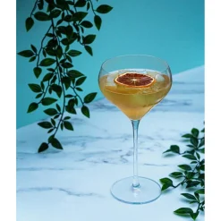 Nude Fantasy Cocktailglazen, 0,675L 2 stuks