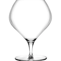 Nude Fantasy Cognacglazen, 0,87L 2 stuks