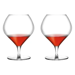 Nude Fantasy Cognacglazen, 0,87L 2 stuks