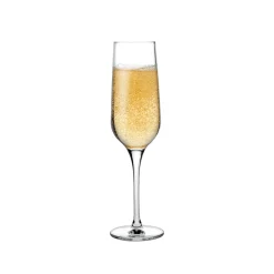 Nude Refine Champagneglazen, 0,2L 2 stuks