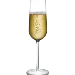 Nude Stone Spirit Swarovski Champagneglazen, 0,25L 2 stuks