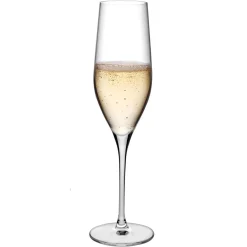Nude Vinifera Champagneglazen, 0,245L 2 stuks