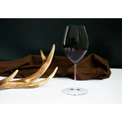 Riedel Performance Syrah/Shiraz Wijnglas, 2 stuks