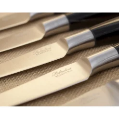 Saladini Steakmessenset 6-delig, 23cm ossenhoorn