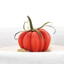 Silikomart Naturae Pomodoro 24 Siliconen Patisserievorm, 12vaks