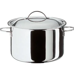 Spring Cristal Kookpan met Deksel, 24cm