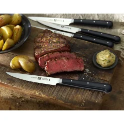 Zwilling Matteo Thun Steakmessenset, 6-delig